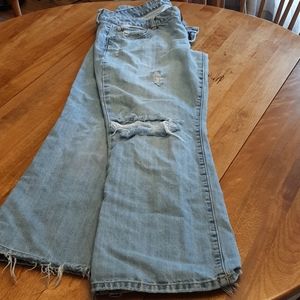 American Eagle Favorite Boyfriend Jeans 14 short
